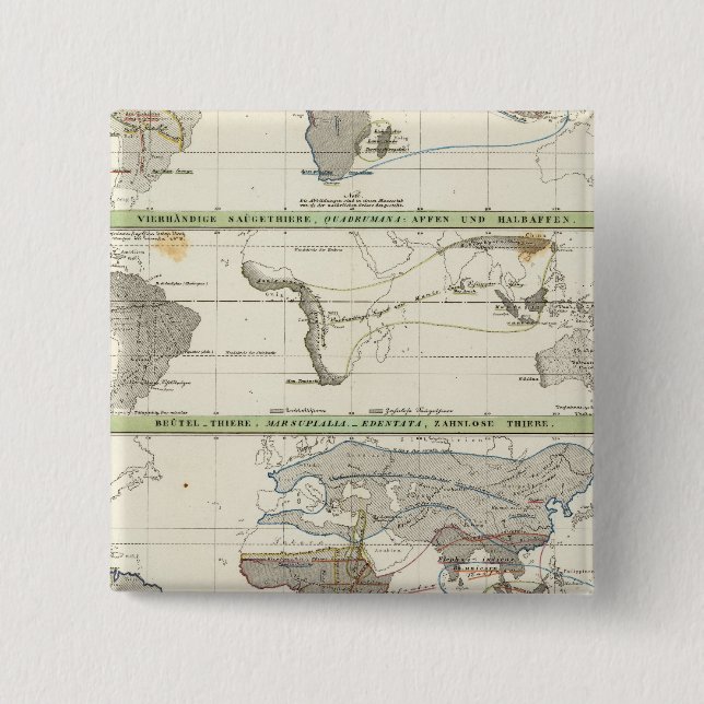 Geographical Distribution 2 Inch Square Button (Front)