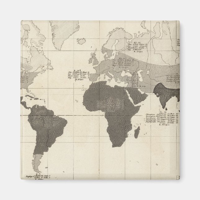 Geographical Distribution of Vegetation Magnet (Front)