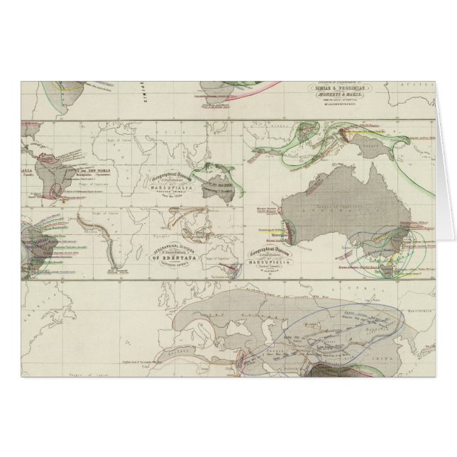 Géographie zoologique (Devant horizontal)