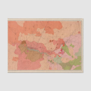 Geological Map of the Washoe District Tissue Paper