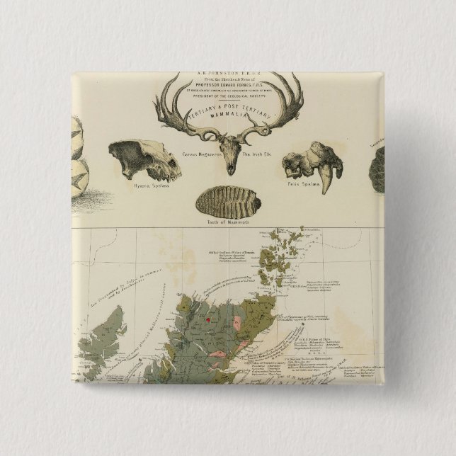 Geological, palaeontological map British Islands 2 Inch Square Button (Front)