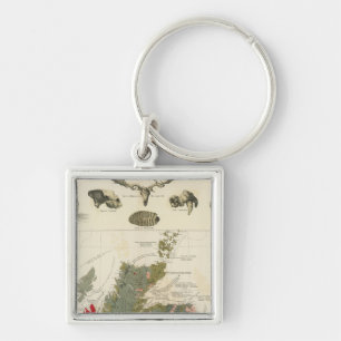 Geological, palaeontological map British Islands Keychain