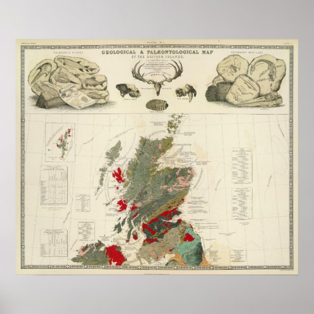 Geological, palaeontological map British Islands Poster (Front)