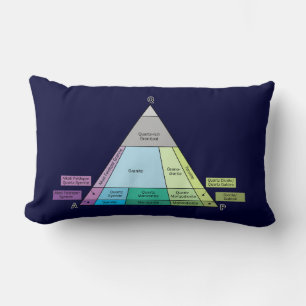 Geologist's Plutonic Rock QAP Diagram Lumbar Pillow