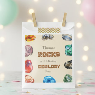 Geology birthday party rocks gemstone favour bag