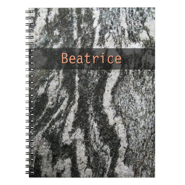 Geology Decorative Feline Pattern any Text Notebook (Front)