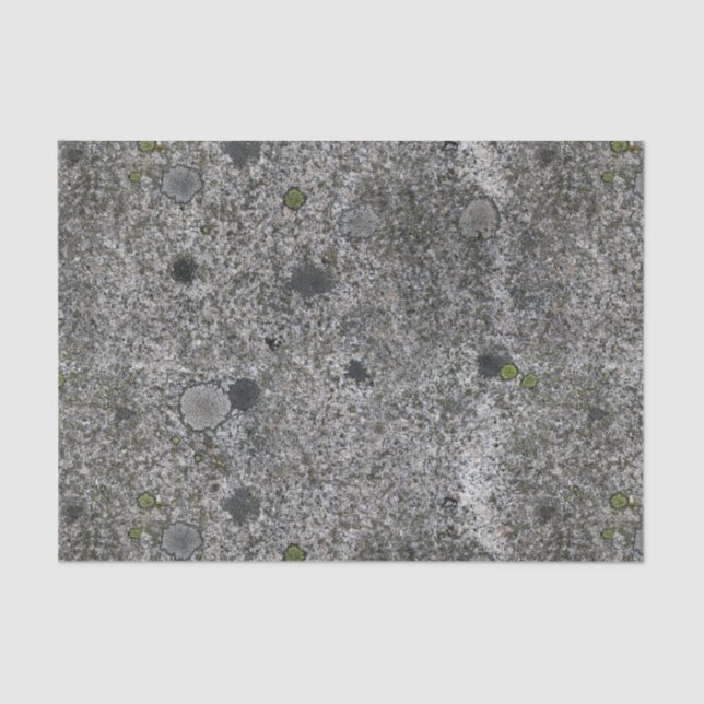 Geology Grey Granite Rock with Moss Tissue Paper (Front)
