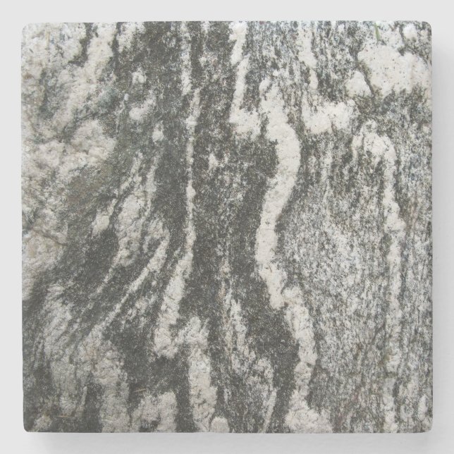 Geology Grey Rock with Cat Pattern Stone Coaster (Front)