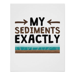 Geology My Sediments Exactly Poster
