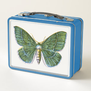 Geometra papilionaria - The Large Emerald Moth Metal Lunch Box