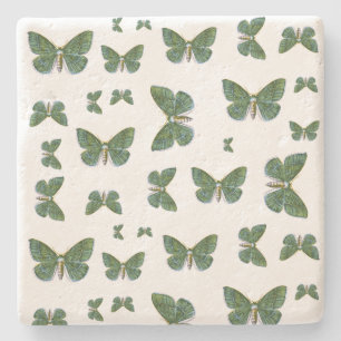 Geometra papilionaria - The Large Emerald Moth Stone Coaster