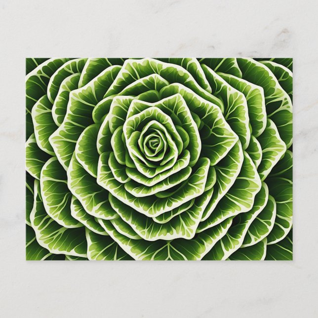 Geometric Lettuce Pattern Blending Nature  Postcard (Front)