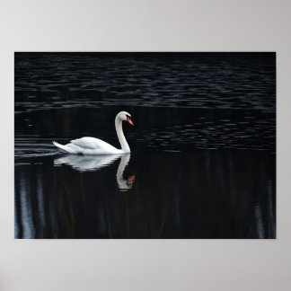 Geometric Swan Art Print on Reflective Dark Lake