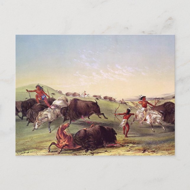 George Catlin - Buffalo Hunt Postcard (Front)