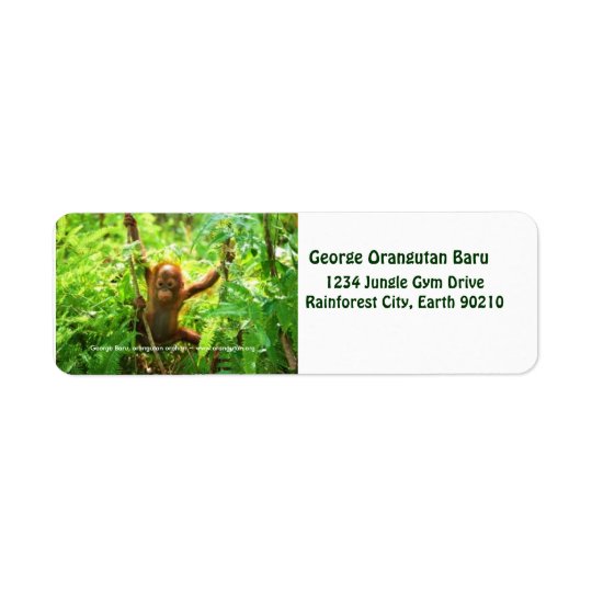 George Orangutan Return Address Label