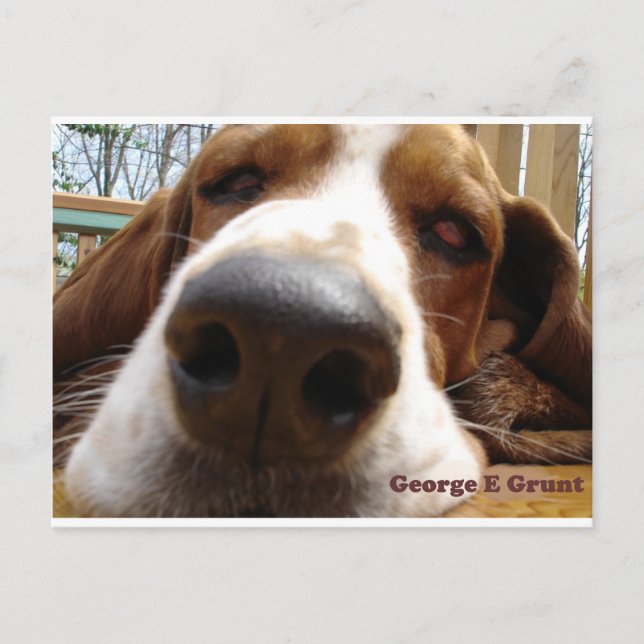 George Postcard (Front)