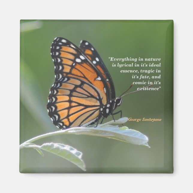 George Santayana Quote On Nature Magnet (Front)