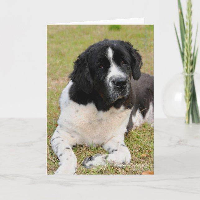 George saying hello card (Front)