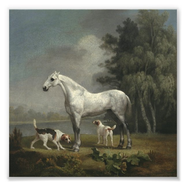 George Stubbs - A Dapple Grey Hunter Photo Print (Front)