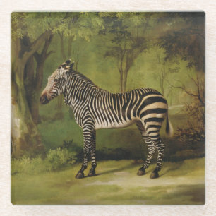 George Stubbs   A Zebra, 1763 (oil on canvas) Glass Coaster