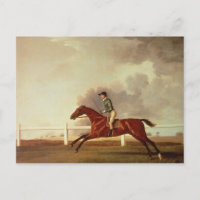 George Stubbs | Bay Malton with John Singleton Up,