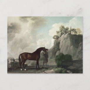 George Stubbs   Cato' and Groom Postcard