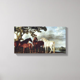 George Stubbs - Mares and Foals in a Landscape Canvas Print