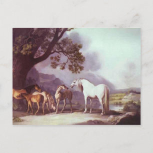 George Stubbs- Mares and Foals in a Landscape Postcard