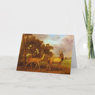 George Stubbs- Red Deer Stag and Hind Card