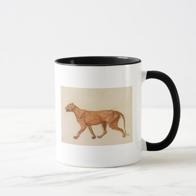 George Stubbs | Tiger, Lateral View, Skin Removed, Mug (Right)