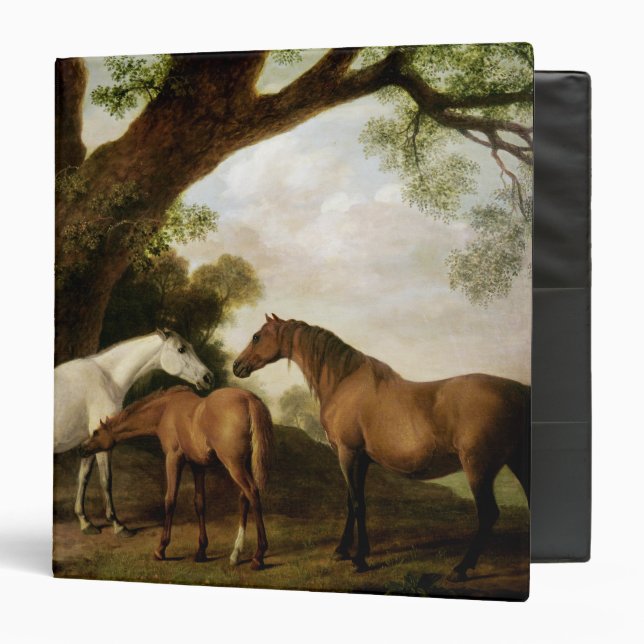 George Stubbs | Two Shafto Mares and a Foal, 1774 Binder (Front/Inside)