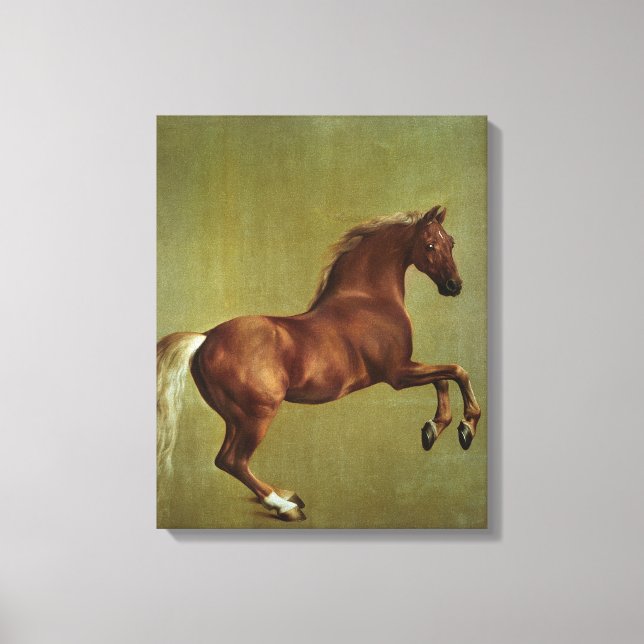 George Stubbs | Whistlejacket, 1762 Canvas Print (Front)