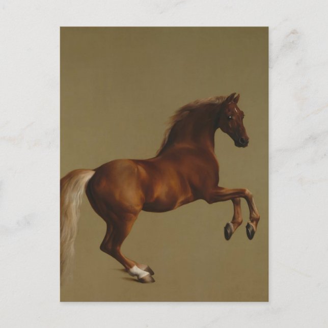 George Stubbs- Whistlejacket Postcard (Front)