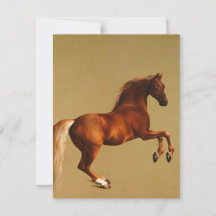 George Stubbs - Whistlejacket Thank You Card