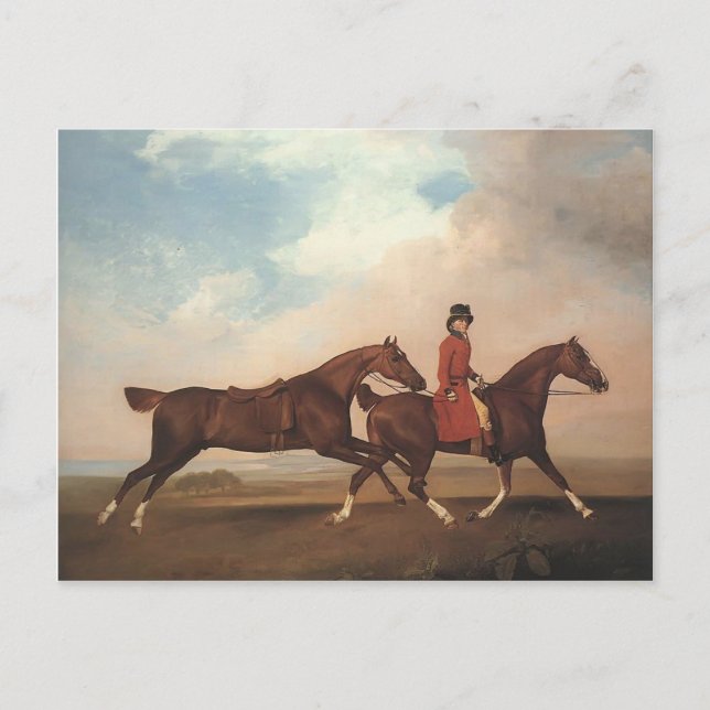 George Stubbs-William Anderson,two saddle-horses Postcard (Front)