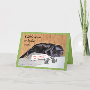 George the Cat-Get Well -customize any occasion Card