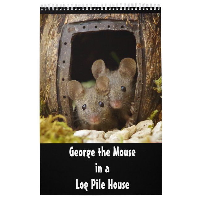 George the mouse in a log pile House 2020 calendar (Cover)