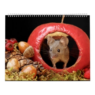 George the mouse in a log pile house 2022 calendar