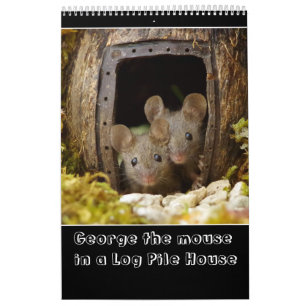 George the mouse in a log pile house 2022 new calendar
