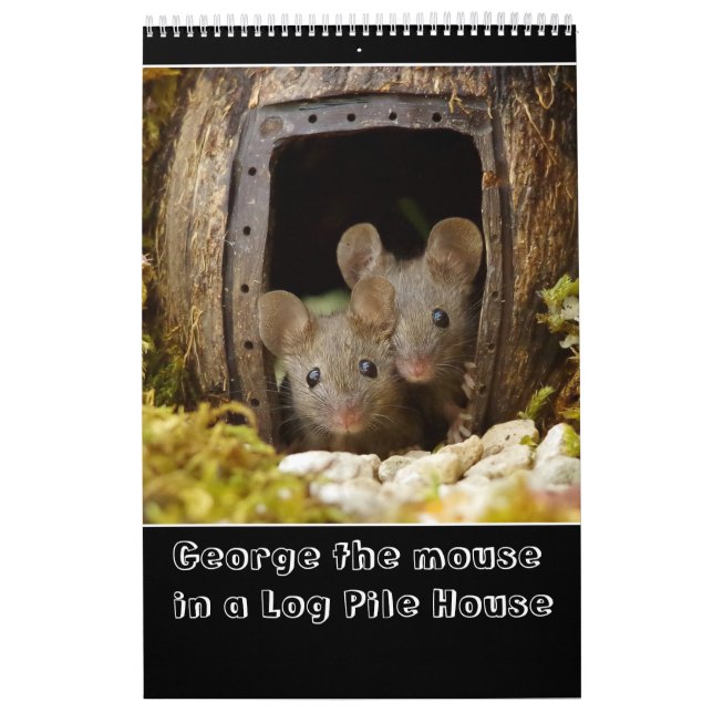 George the mouse in a log pile house 2022 new calendar (Cover)