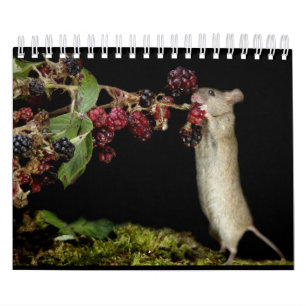 George the mouse with black backgrounds calendar