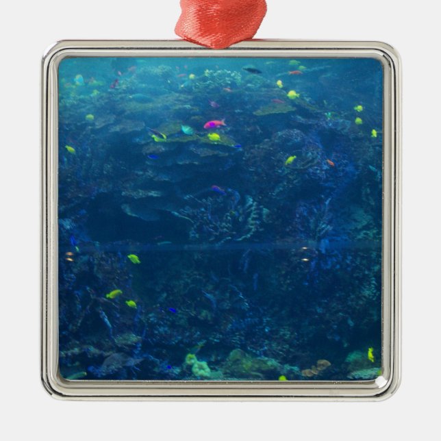 Georgia Aquarium Metal Ornament (Front)