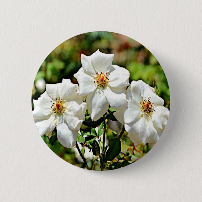 Georgia Cherokee Rose 2 Inch Round Button (Front)