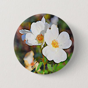 Georgia Cherokee Rose 2 Inch Round Button