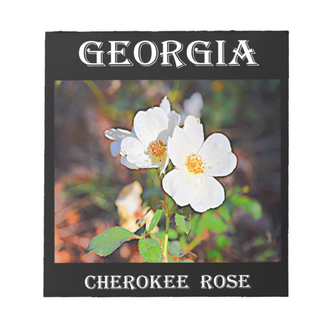 Georgia Cherokee Rose Notepad (Front)