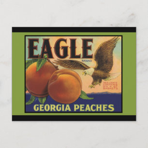 Georgia Eagle Peaches Postcard