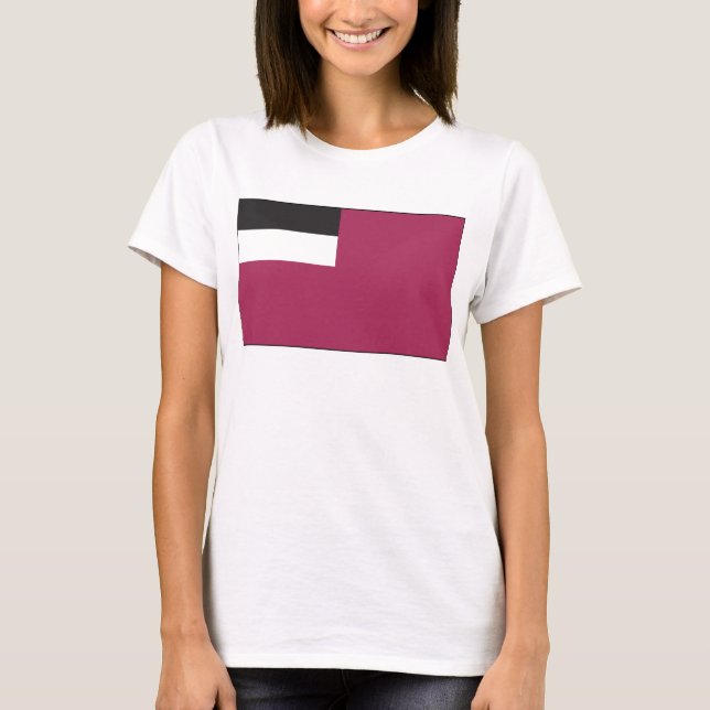 Georgia Flag (1990) T-shirt (Front)