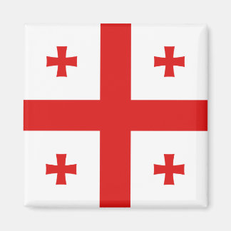 Georgia Flag Magnet