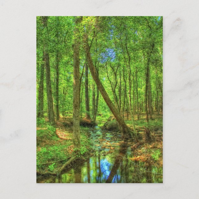 Georgia Landscape Postcard (Front)