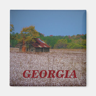 georgia magnet